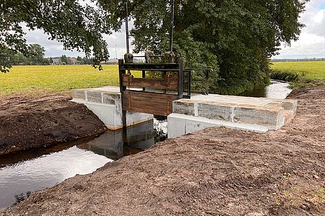 image-136